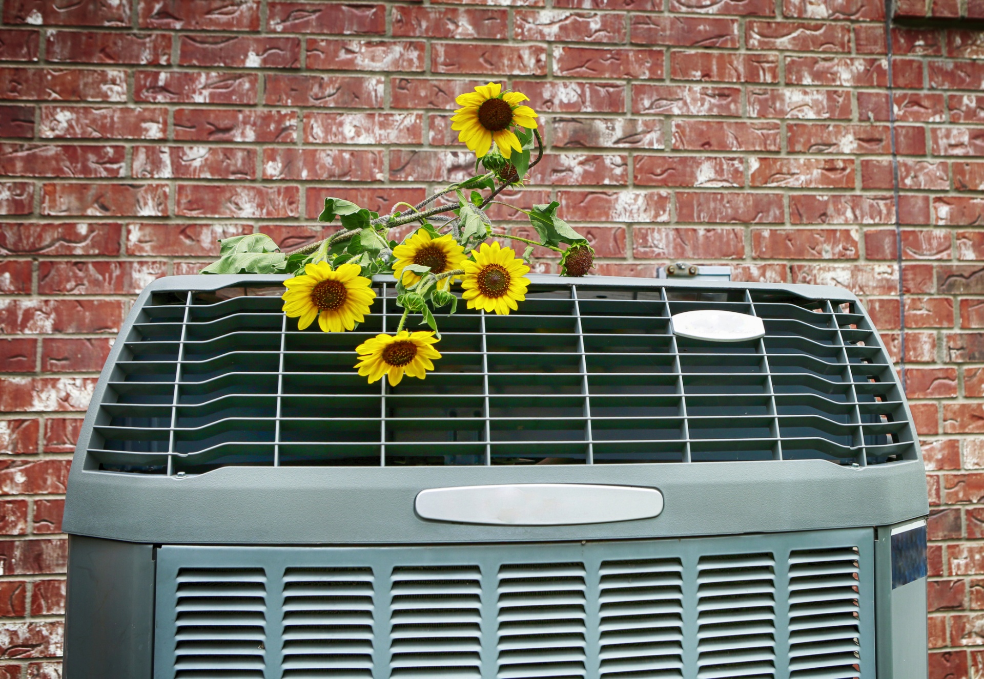 It's Spring and You Know What That Means! | Roberts Heating & Air ...